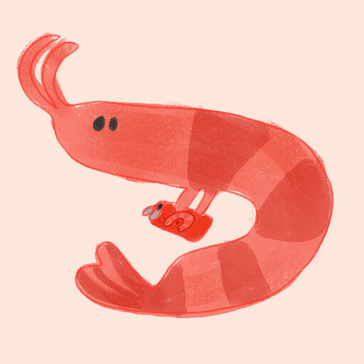 ✧ doodle style ✧